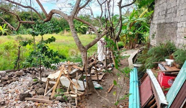 Tanah Babakan Canggu Badung 2