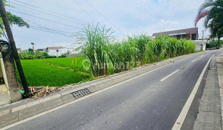 Tanah Subak Sari Berawa Canggu Badung 2