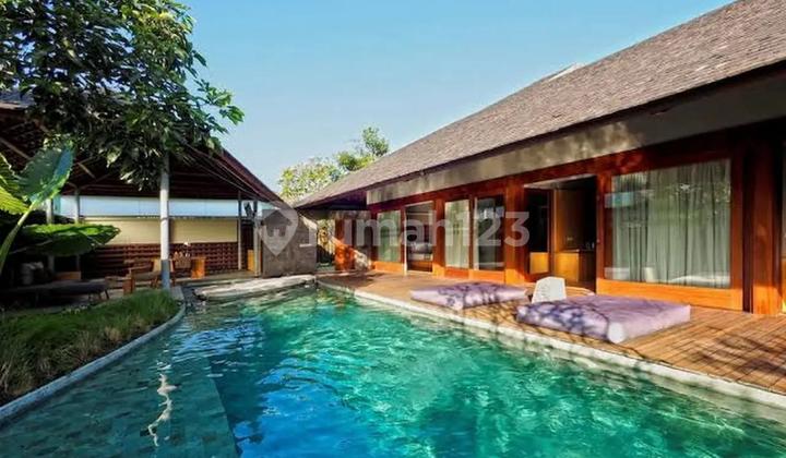 Cheap Villa Complex in Bumbak Umalas Kerobokan Badung Cheap Villa Complex in Bumbak Umalas Kerobokan Badung