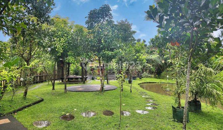 Villa View Sawah & Gunung Marga Baturiti Tabanan 1