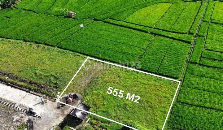 Land with View of Rice Fields at Kedungu Beach, Kediri, Tabanan, Bali 1