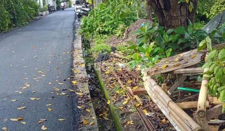 Tanah murah pererenan canggu