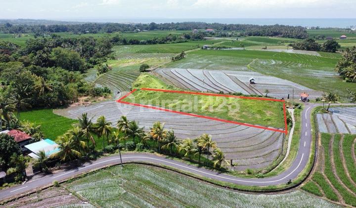 Tanah Murah Beraban Tabanan Bali