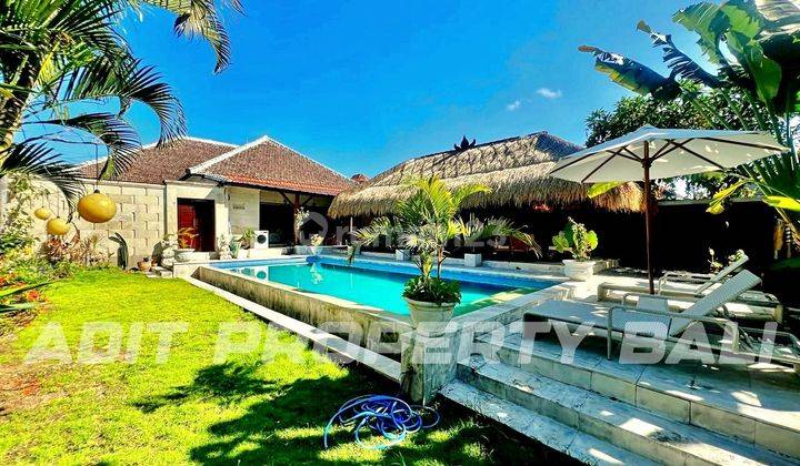 Cheap Villas in Berawa Canggu Badung 1