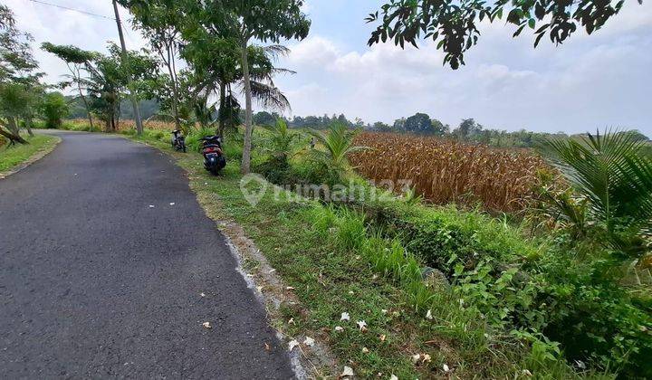 Tanah Pantai Kelecung Tabanan 1