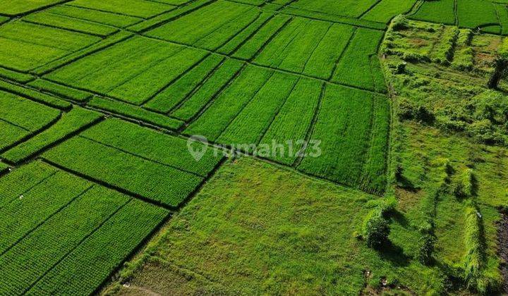 Land with View of Rice Fields at Kedungu Beach, Kediri, Tabanan, Bali 2