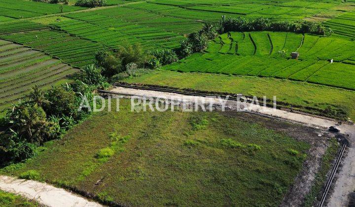 Land with View of Rice Fields at Kedungu Beach, Kediri, Tabanan, Bali 2