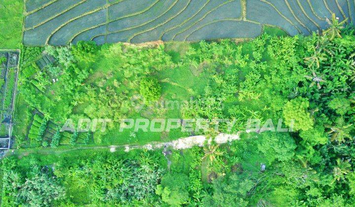 Land with View of Rice Fields at Nyanyi Beach, Kediri, Tabanan 2