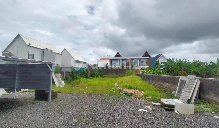 Cheap Land Umalas Kerobokan Badung