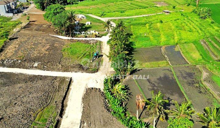 Land with View of Rice Fields at Kedungu Beach, Kediri, Tabanan 2