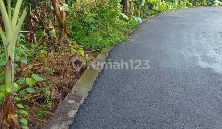Land in Pererenan, Canggu, Badung