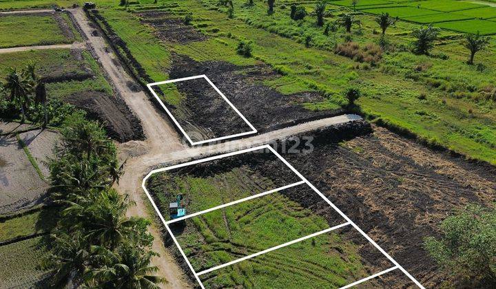 Land with View of Rice Fields at Kedungu Beach, Kediri, Tabanan, Bali 2