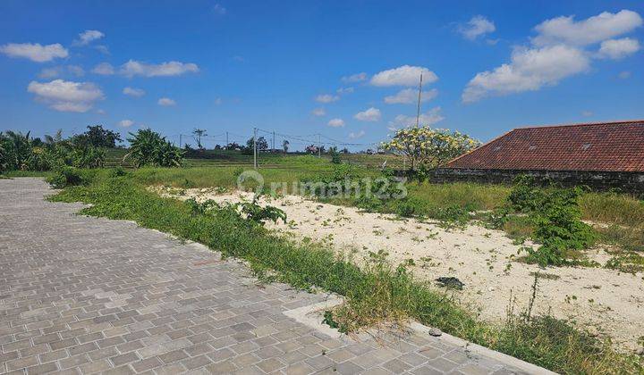 Land in Padonan Canggu 2