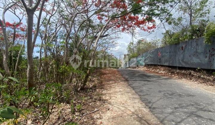 Tanah karang putih kutuh kuta selatan