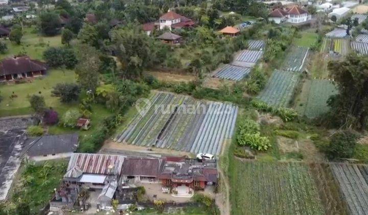 Tanah View Danau Pancasari Bedugul Buleleng Bali 2