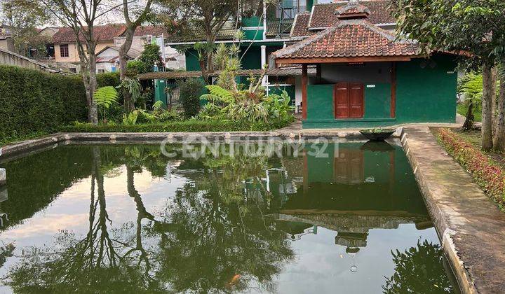 Dijual Tanah Cocok Untuk Kebun Bunga Rose Sayuran Di Lembang Bandung 2