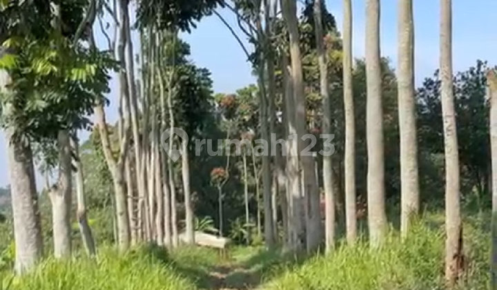 Tanah Hokie Dengan Lingkungan Sejuk Asri Tenang Di Dago Giri Bdg Tanah Hokie Dengan Lingkungan Sejuk Asri Tenang Di Dago Giri Bdg