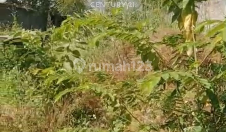 Disewakan Tanah Daerah Baleendah Bandung