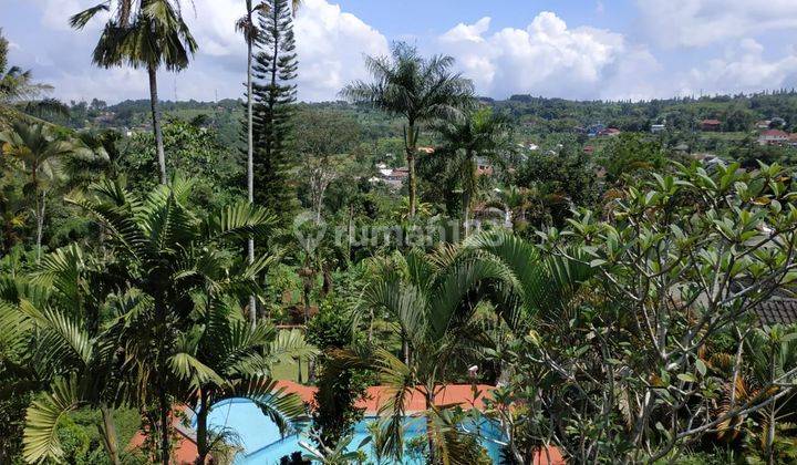 Hampir Njop Villa Bagus, Asri,  Masih Berjalan, Ciawi. Bogor 2