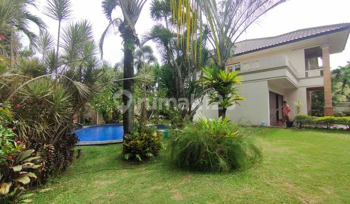 Rumah nyaman dan asri jarang ada Cilandak - Ampera jaksel Rumah nyaman dan asri jarang ada Cilandak - Ampera jaksel