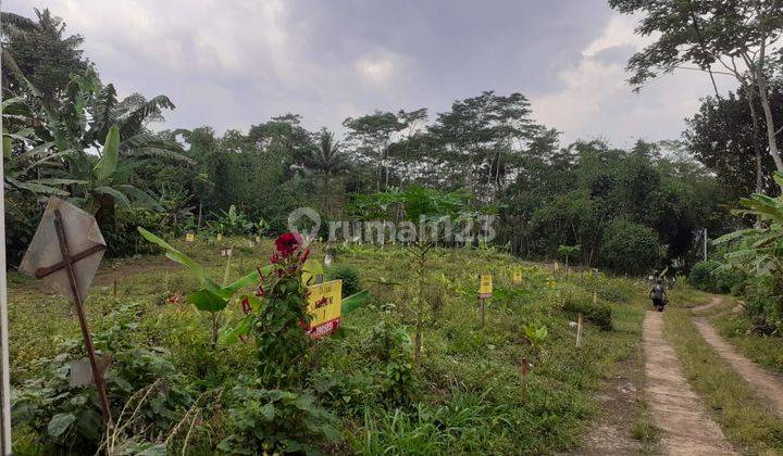 Kavling Siap Bangun Dijual, Dusun Kopen, Desa Kandangan, Kabupaten Temanggung 2