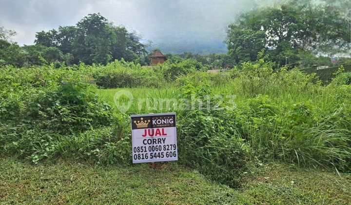 Kavling Tanah Taman Dayu, Cluster Hijau Alami. Pandaan, Pasuruan. Kavling Tanah Taman Dayu, Cluster Hijau Alami. Pandaan, Pasuruan.