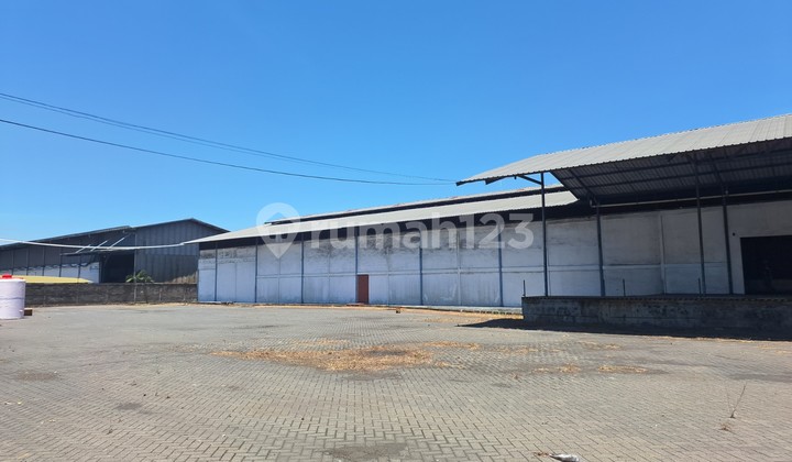 Warehouse for Rent in Gempol, Pasuruan. Zero road access. Ready to use. Warehouse for Rent in Gempol, Pasuruan. Zero road access. Ready to use.