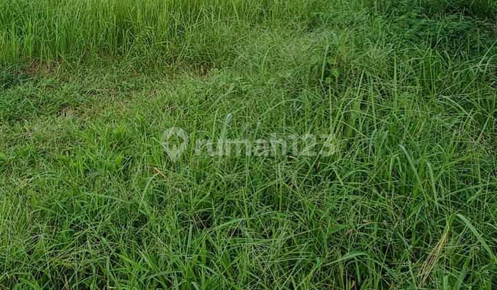 Tanah Bagus di Maros cocok utk Gudang 1