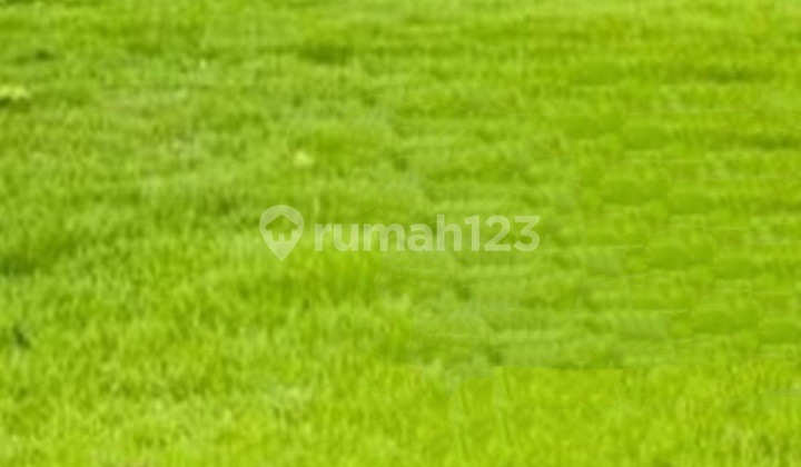 Tanah Kavling Di Citraland Dekat Graha Dan Pakuwon Indah