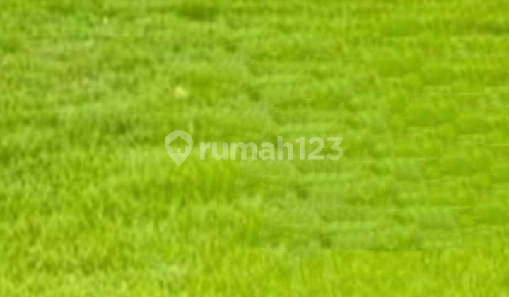 KAVLING KOTAK SIAP BANGUN CITRALAND DEKAT UC DAN GRAHA NATURA