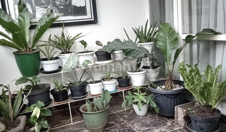 Jual Cepat Rumah Pamulang Bebas Banjir Dekat Kantor Walikota Tangsel