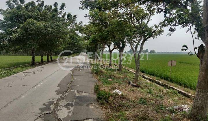 Dijual Cepat Tanah Utk Perumahan Dibekasi Hadap Selatan Strategis 1