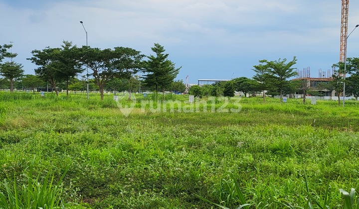 Commercial PIK Brooklyn Plot