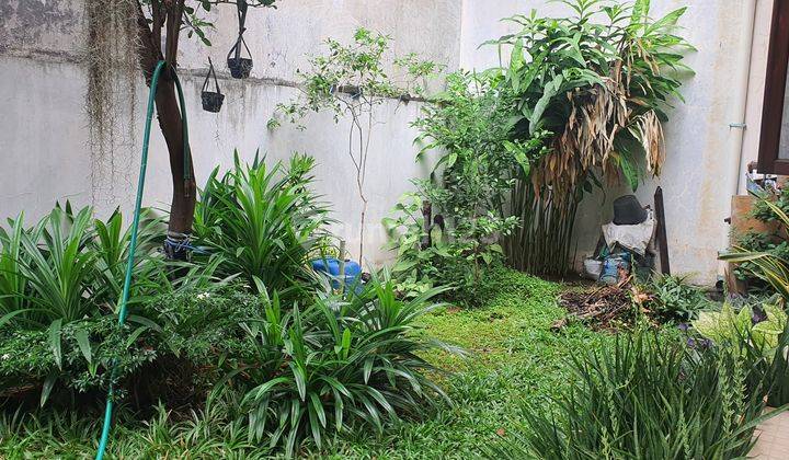 MURAH Banget Rumah Bebas Banjir Jalan Lebar Rawamangun Hub: 0817 0120 620