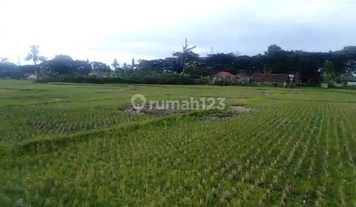 MURAH Kavling Komersil 13.100M2 Jalan Raya Bandung-Cianjur 15 menit dari Pusat Kota Cianjur 1