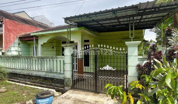 Disewakan Rumah Murah Di Puri Cempaka Putih Kota Malang 2