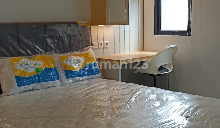 Denver Apartment Rent Denver Apartment Rent