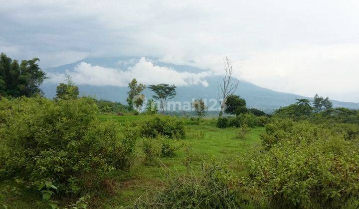 TANAH NOL JALAN
Jl Raya Panekan, Magetan 4