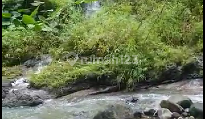 Jual lahan cocok untuk wisata dan perkebunan @Pacet  Mojokerto
 3
