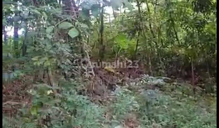 Jual lahan cocok untuk wisata dan perkebunan @Pacet  Mojokerto
 5