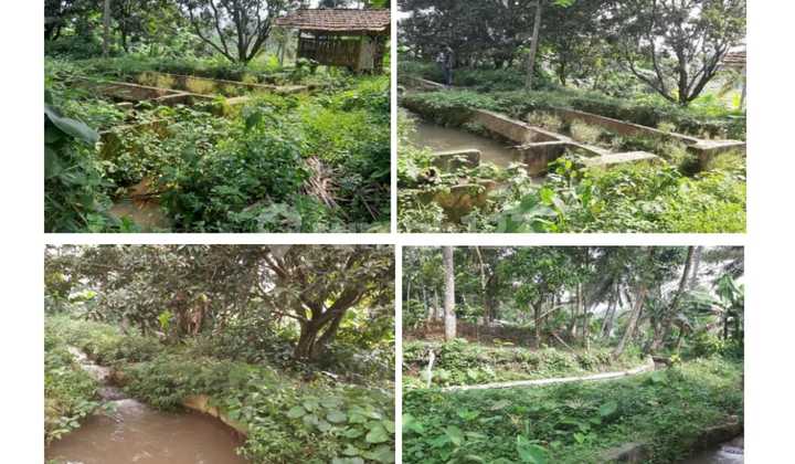 Villa, Kolam, Tanah Luas Tapos 2, Tenjolaya Bogor Barat