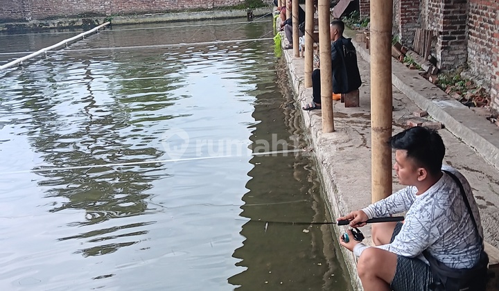 Rmh Villa Kolam Pemancingan Aktif Cipanas Tarogong Garut