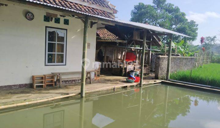 Rmh Bisa Utk Usaha Ada Kolam Pancing di Jl Raya Ciawi Singaparna 2