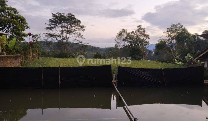 Rmh Bisa Utk Usaha Ada Kolam Pancing di Jl Raya Ciawi Singaparna 4