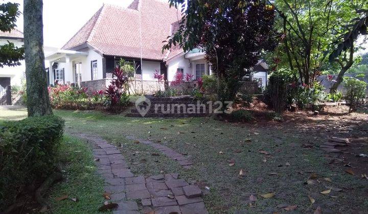 Rmh Belanda,asri,cocok Utk Usaha,cafe,di Dago Mainroad 1