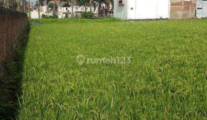 Tnh Sawah Luas di Cempaka Arum Gede Bage  2