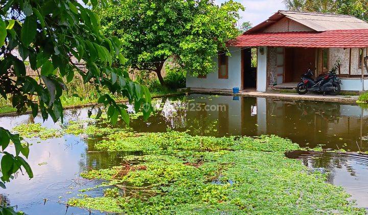 Rmh Villa Asri, 2 Kolam Pancing Di Wisata Cipanas Garut 1