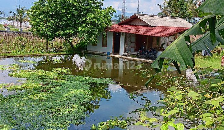 Rmh Villa Asri, 2 Kolam Pancing Di Wisata Cipanas Garut 1