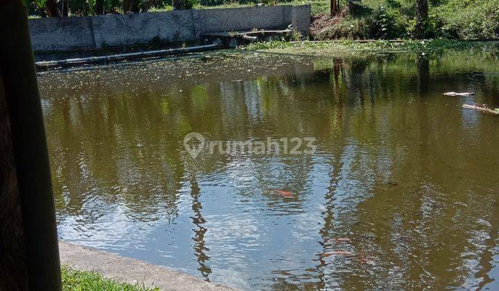 Rmh Villa Asri, 2 Kolam Pancing Di Wisata Cipanas Garut 2