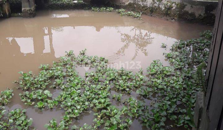 Rmh Villa,kolam Ikan, Sawah, Kebun di Mekarsari Cimaung 2